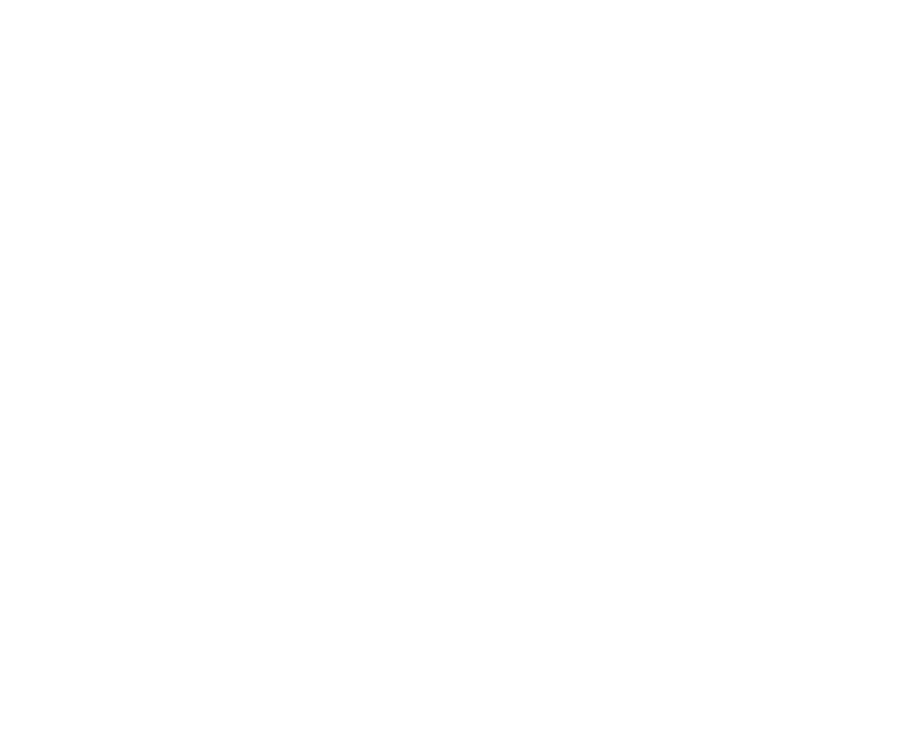 Canada First Bricks website UI element (1)